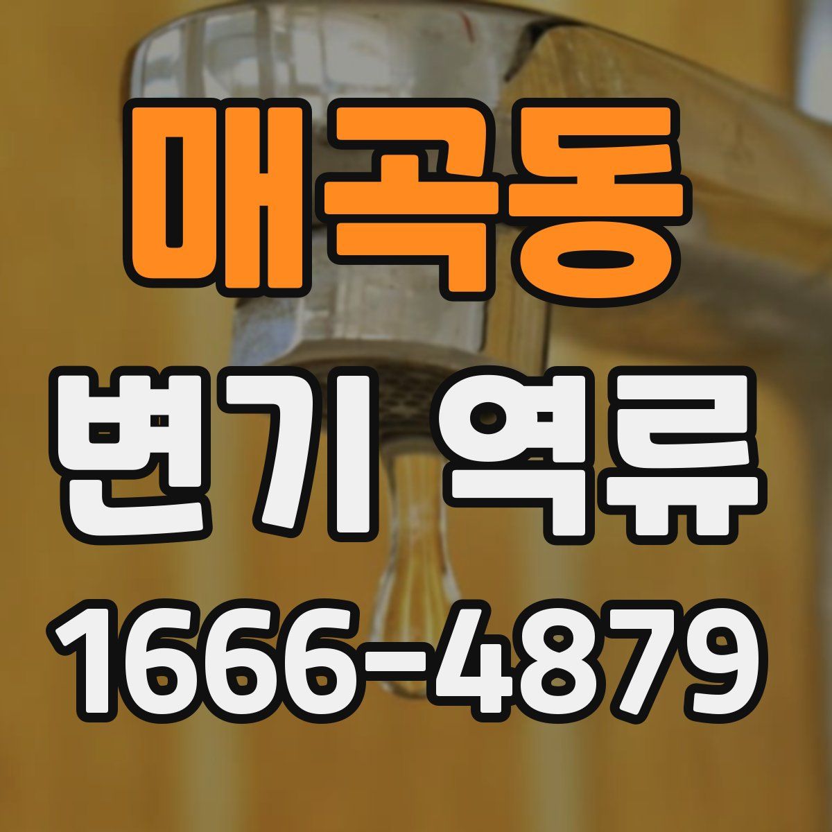 매곡동 변기 역류
