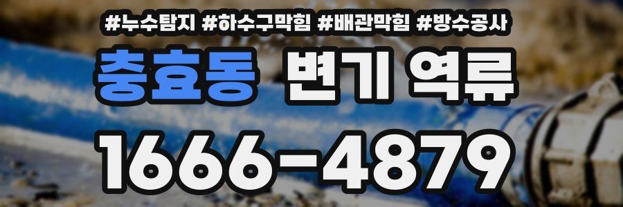 충효동 변기 역류