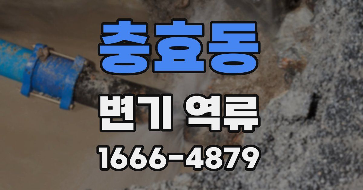 충효동 변기 역류