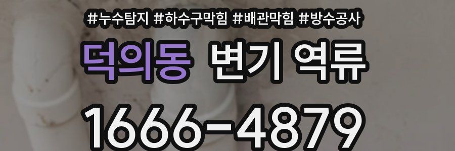 덕의동 변기 역류