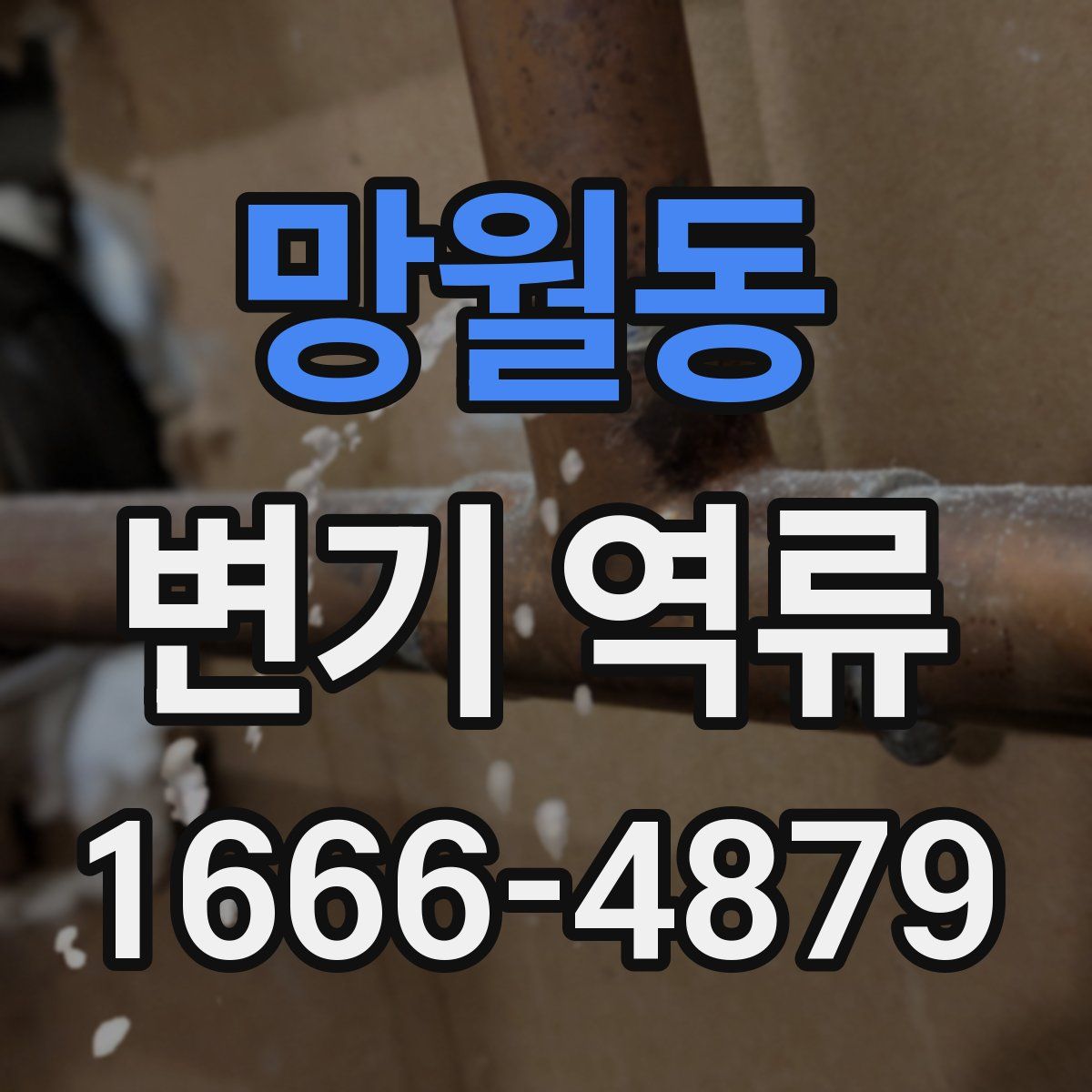 망월동 변기 역류
