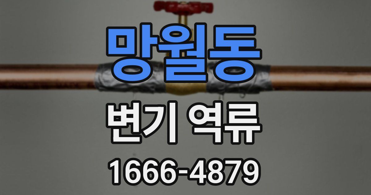 망월동 변기 역류