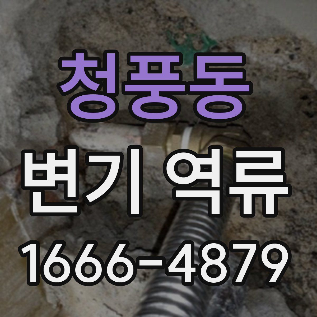 청풍동 변기 역류