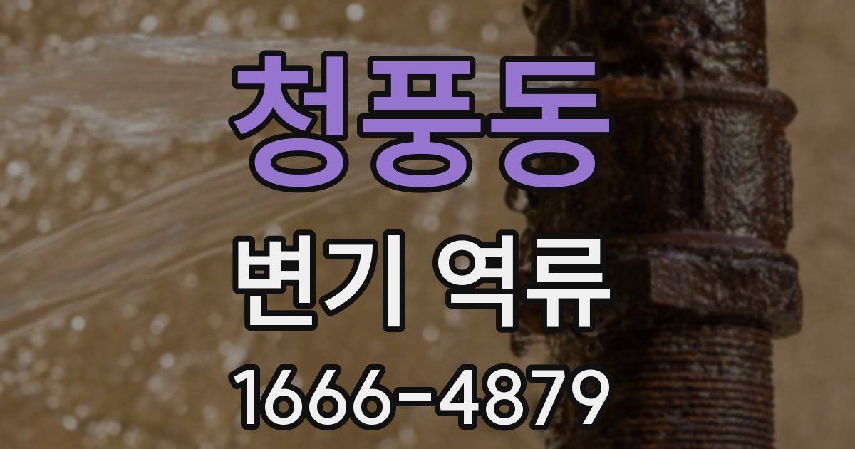 청풍동 변기 역류