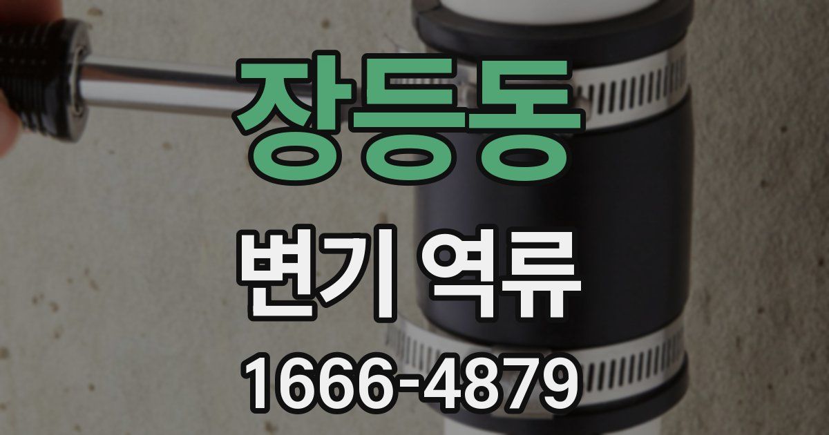 장등동 변기 역류