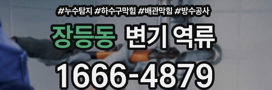 장등동 변기 역류