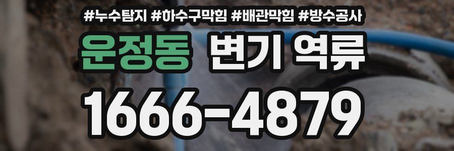 운정동 변기 역류