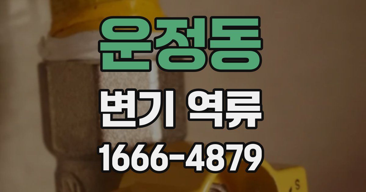 운정동 변기 역류