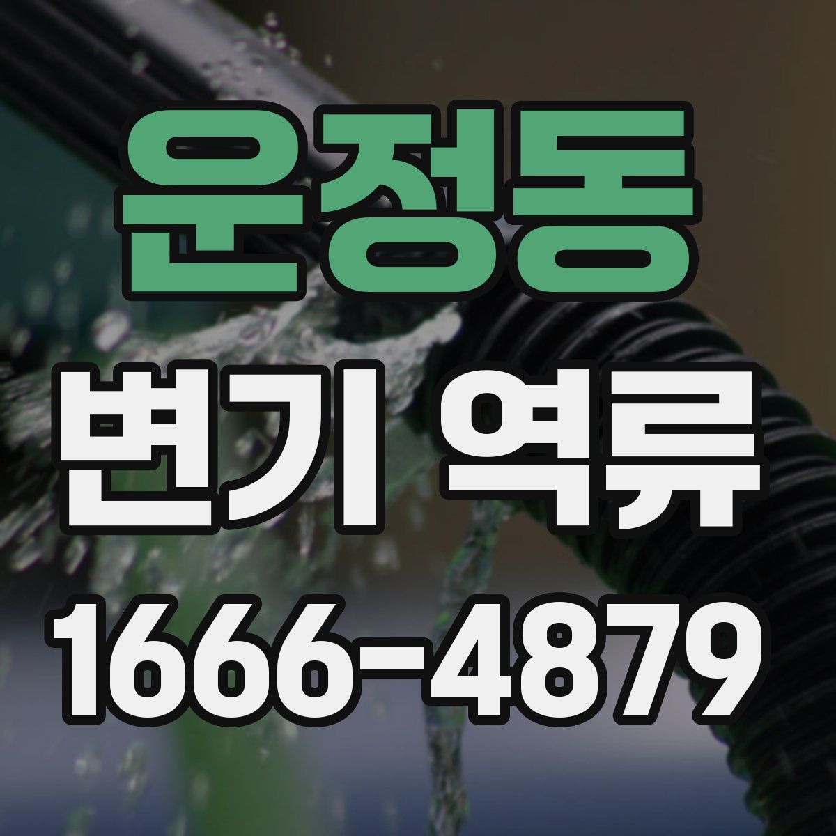 운정동 변기 역류
