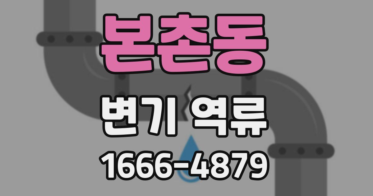 본촌동 변기 역류
