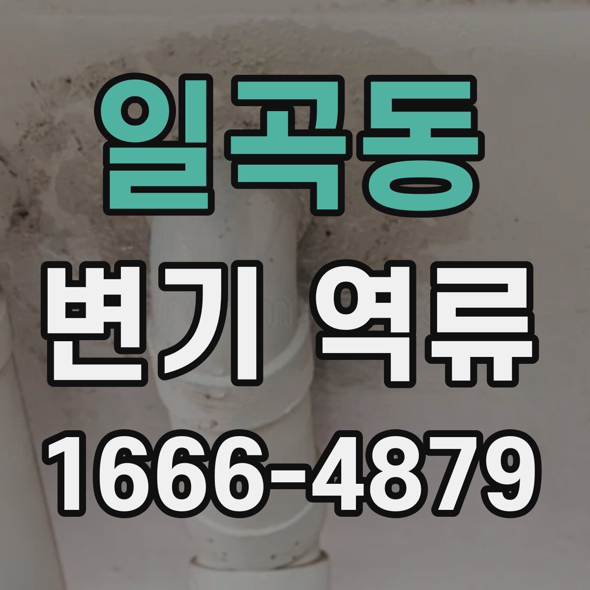 일곡동 변기 역류