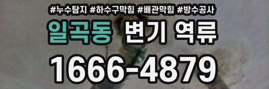 일곡동 변기 역류