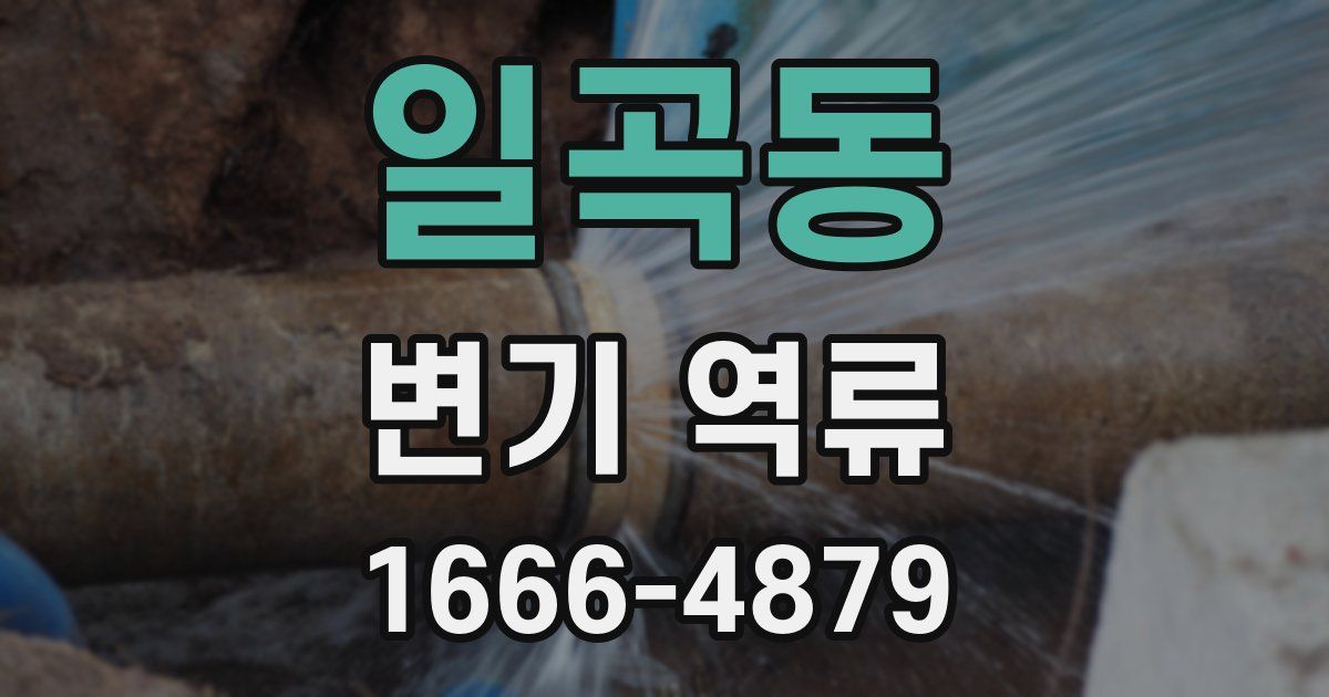 일곡동 변기 역류