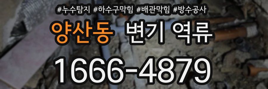 양산동 변기 역류