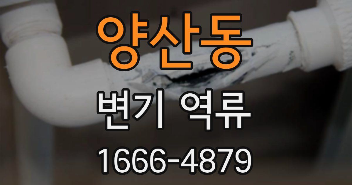 양산동 변기 역류