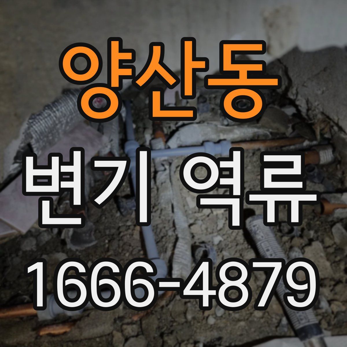 양산동 변기 역류