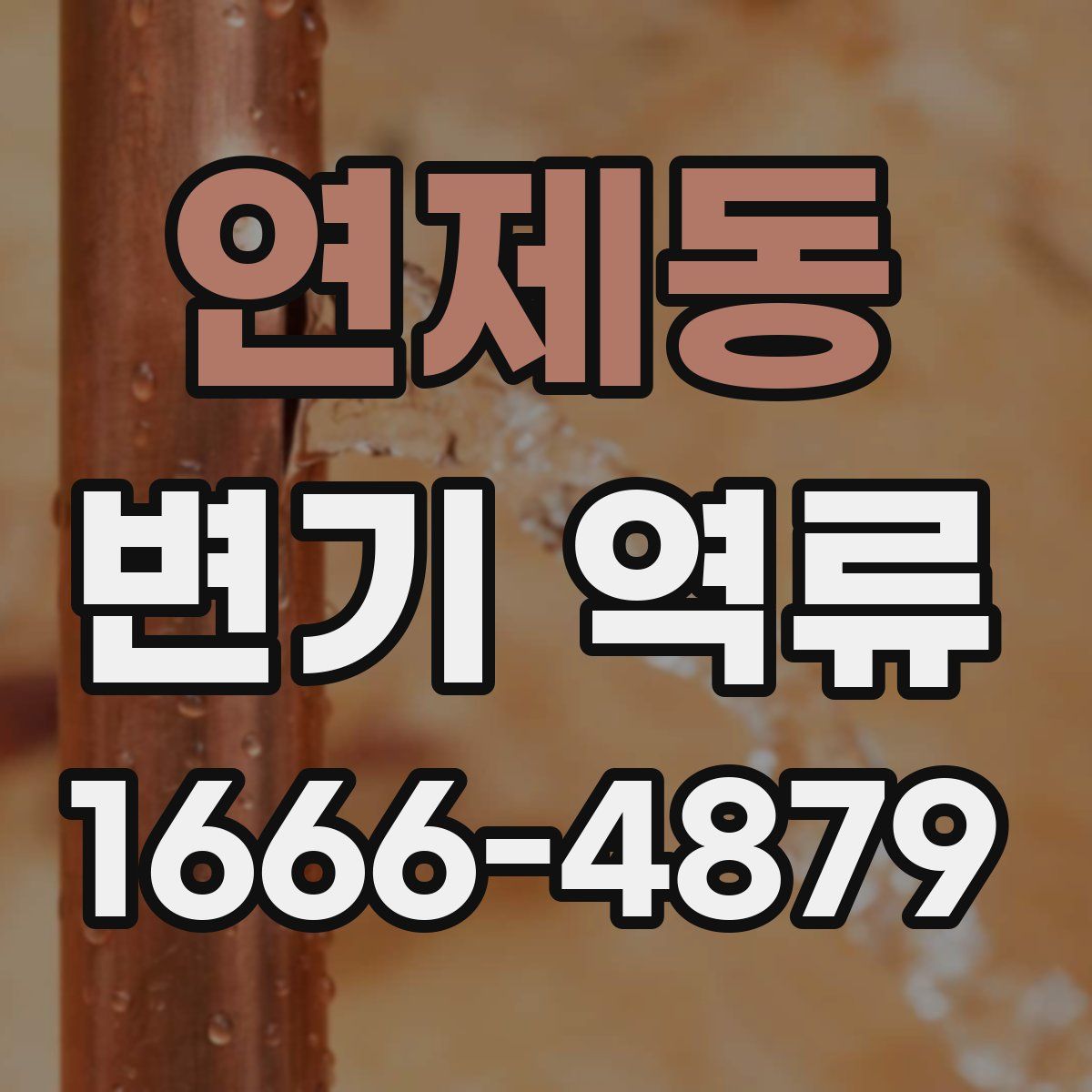 연제동 변기 역류