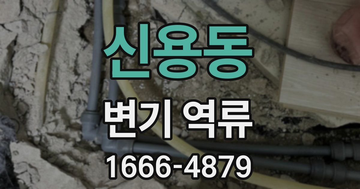 신용동 변기 역류