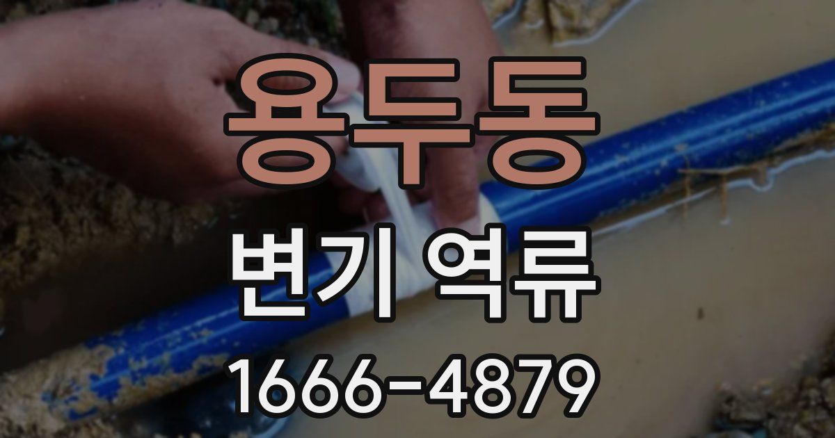 용두동 변기 역류