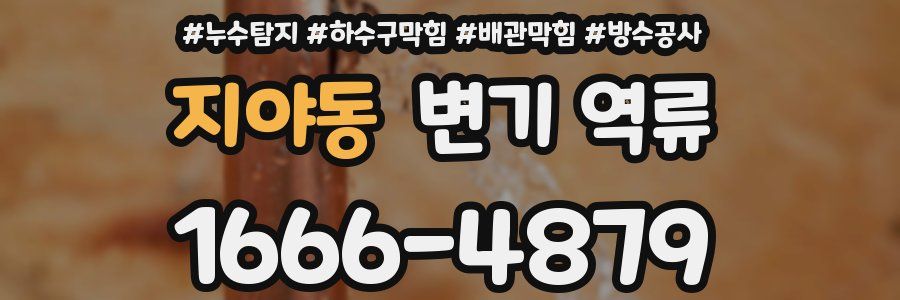 지야동 변기 역류