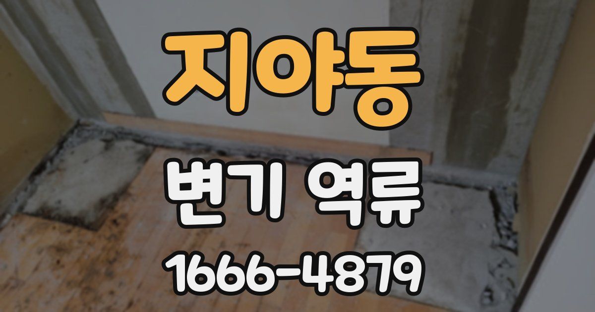 지야동 변기 역류