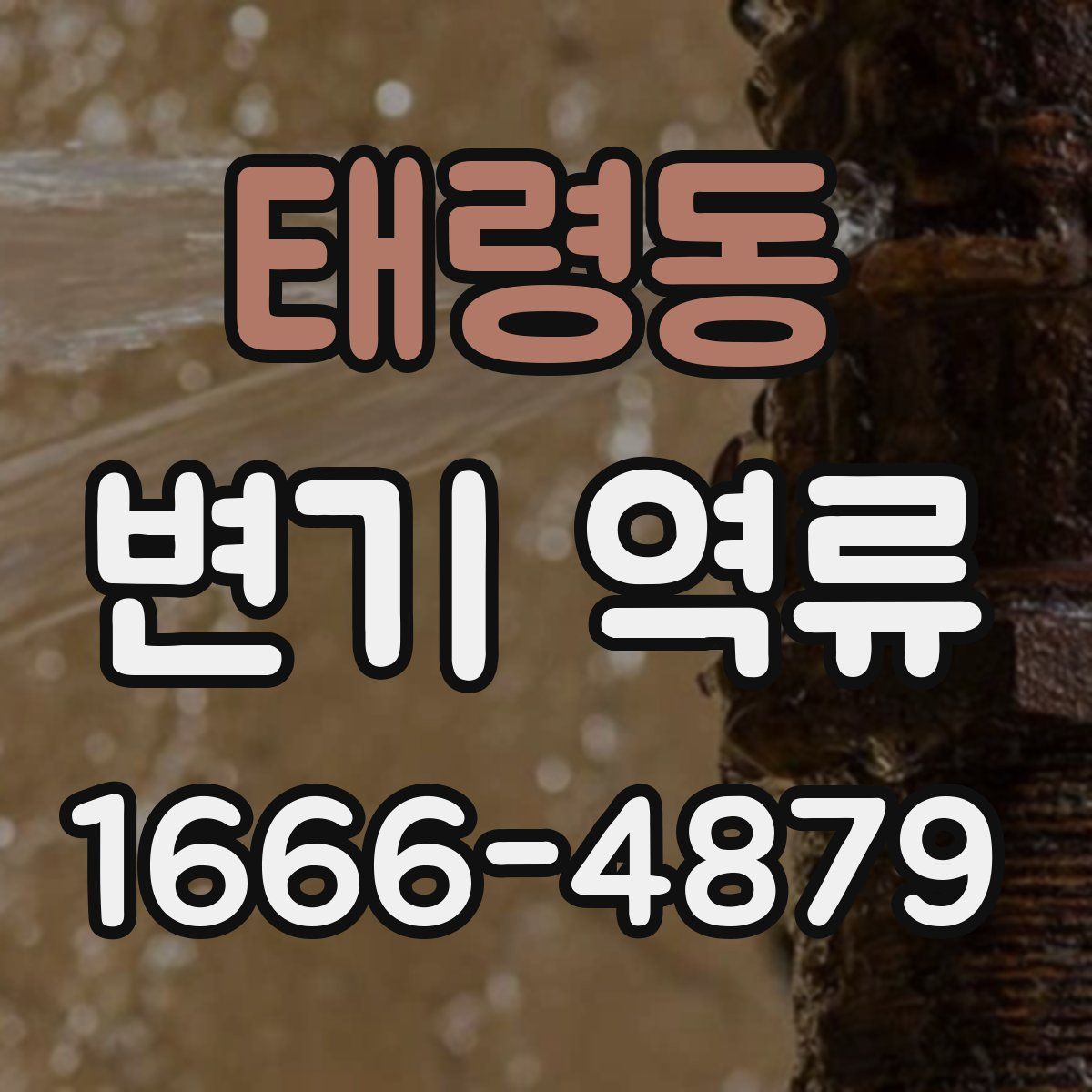 태령동 변기 역류