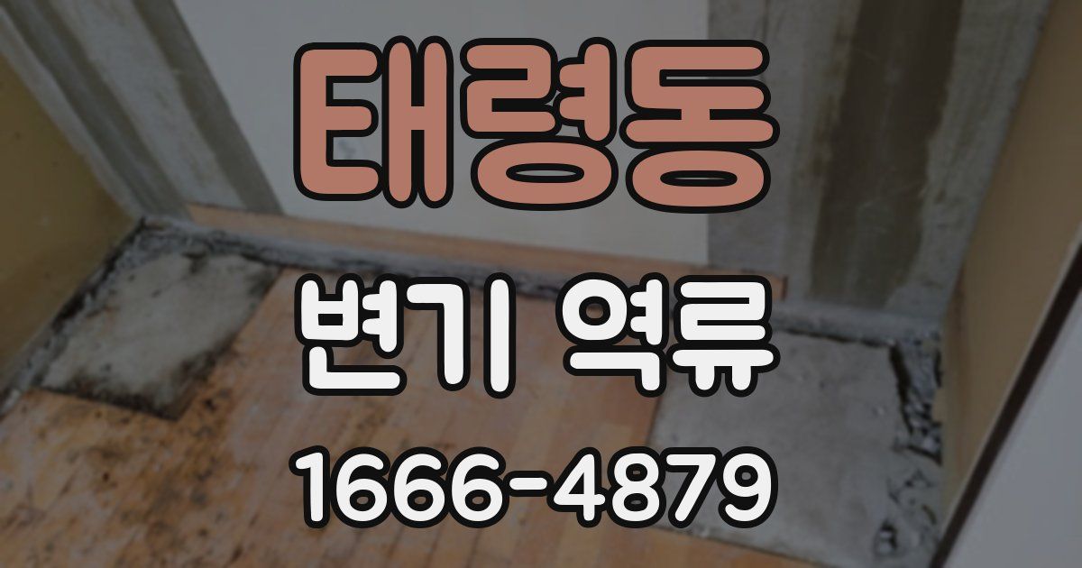 태령동 변기 역류