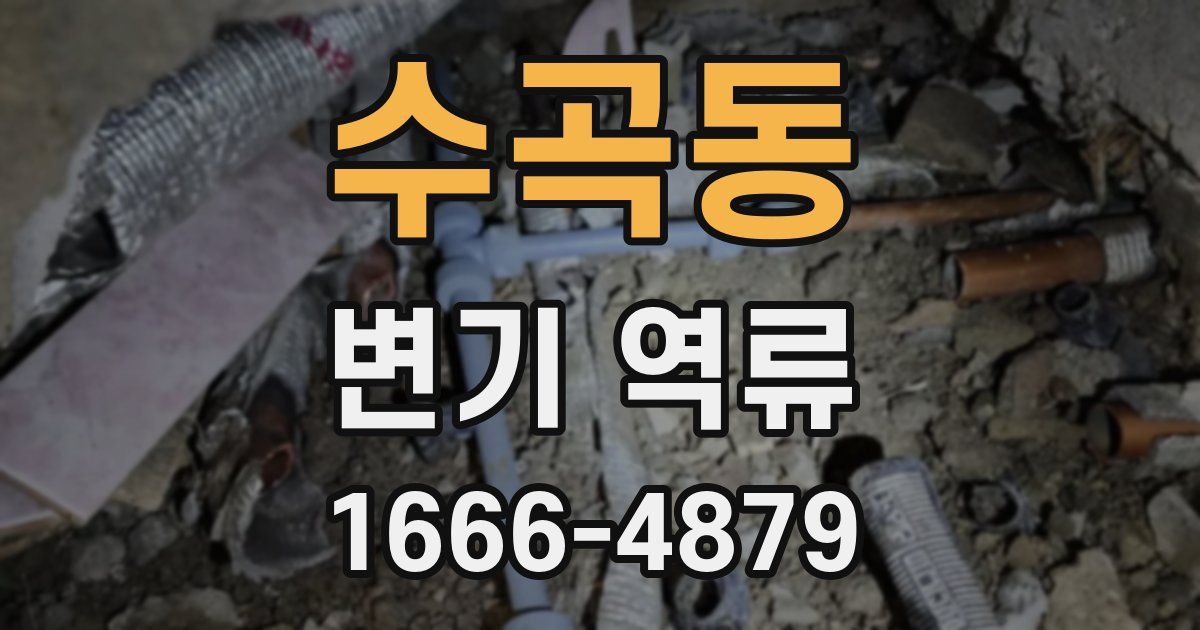 수곡동 변기 역류