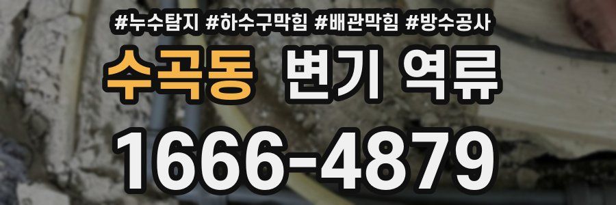 수곡동 변기 역류