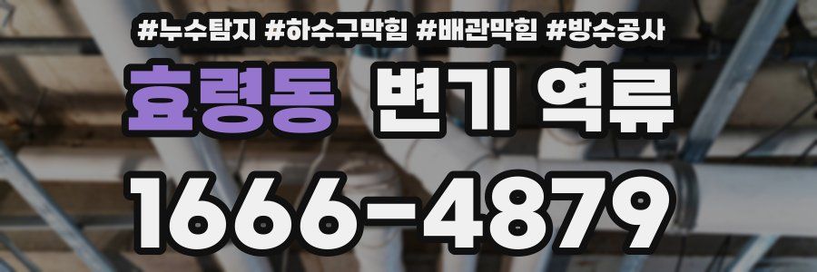 효령동 변기 역류