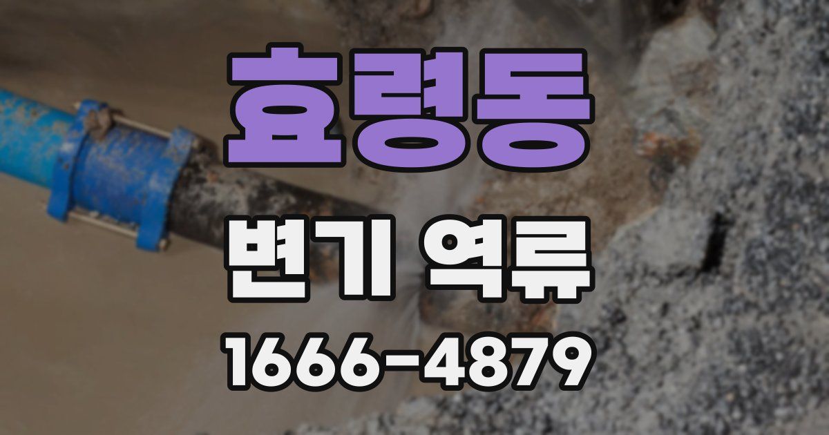 효령동 변기 역류