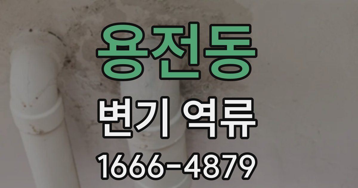 용전동 변기 역류