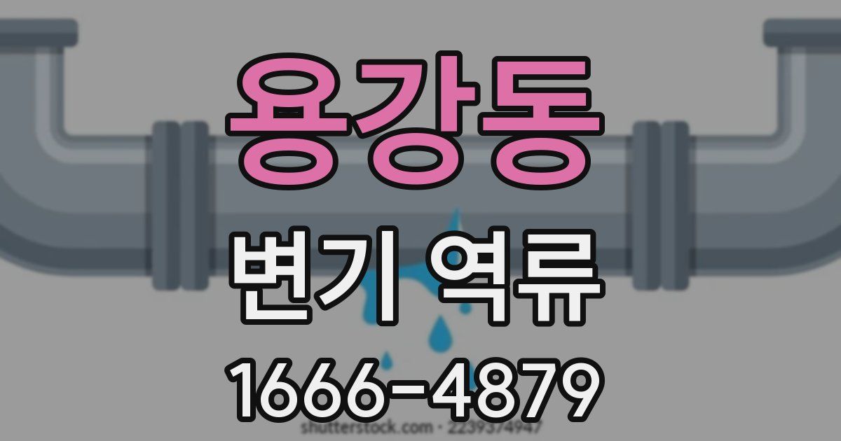 용강동 변기 역류