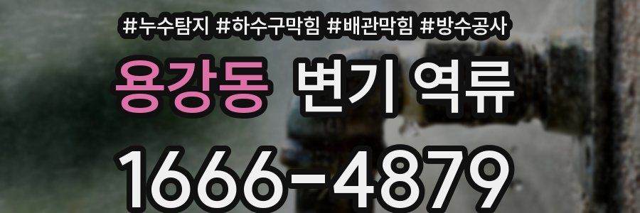 용강동 변기 역류