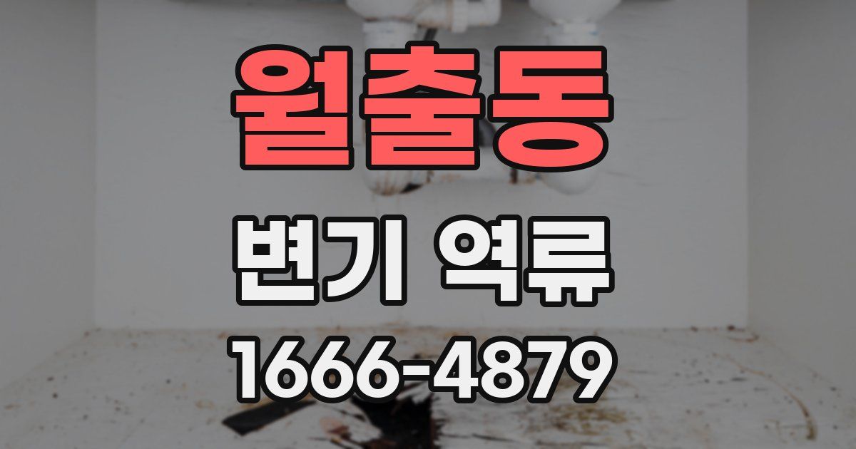 월출동 변기 역류