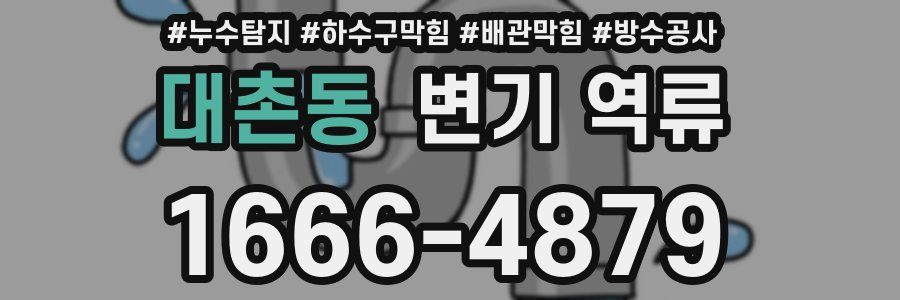 대촌동 변기 역류