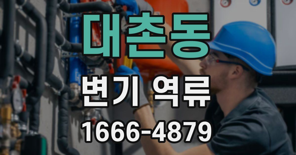 대촌동 변기 역류