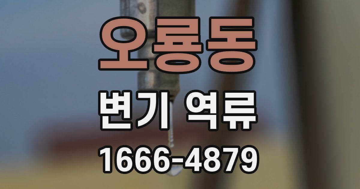 오룡동 변기 역류
