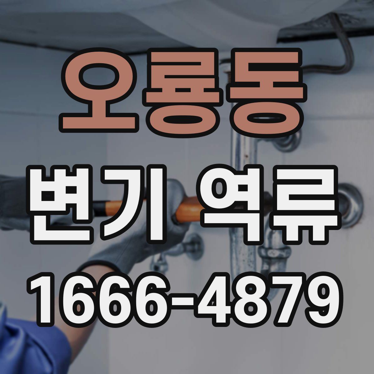 오룡동 변기 역류