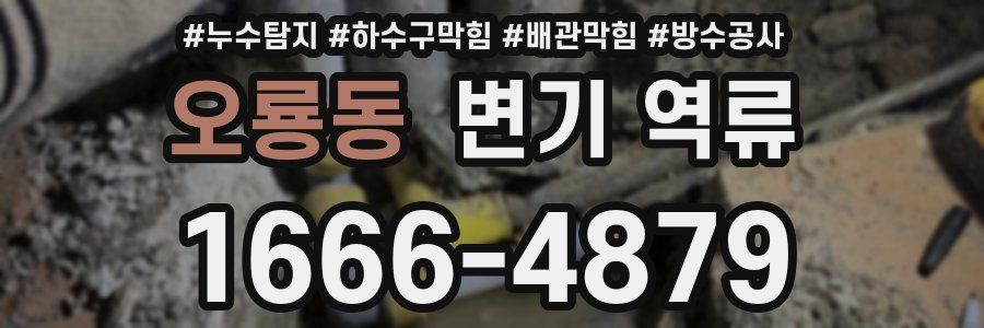 오룡동 변기 역류
