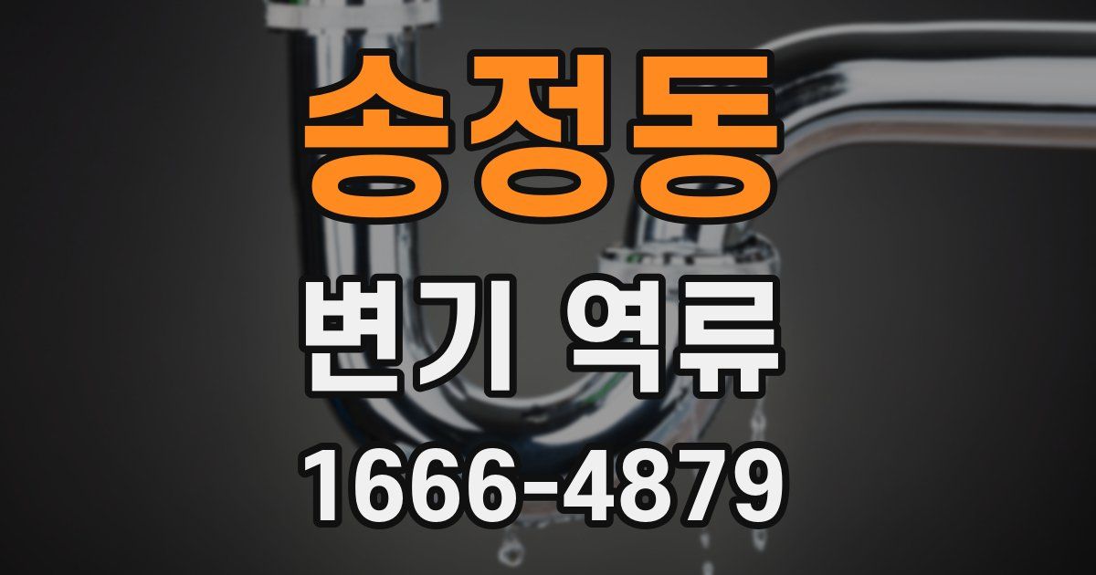 송정동 변기 역류