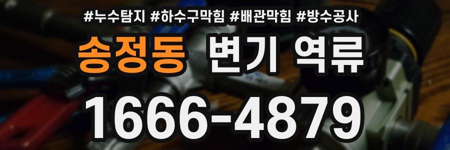 송정동 변기 역류