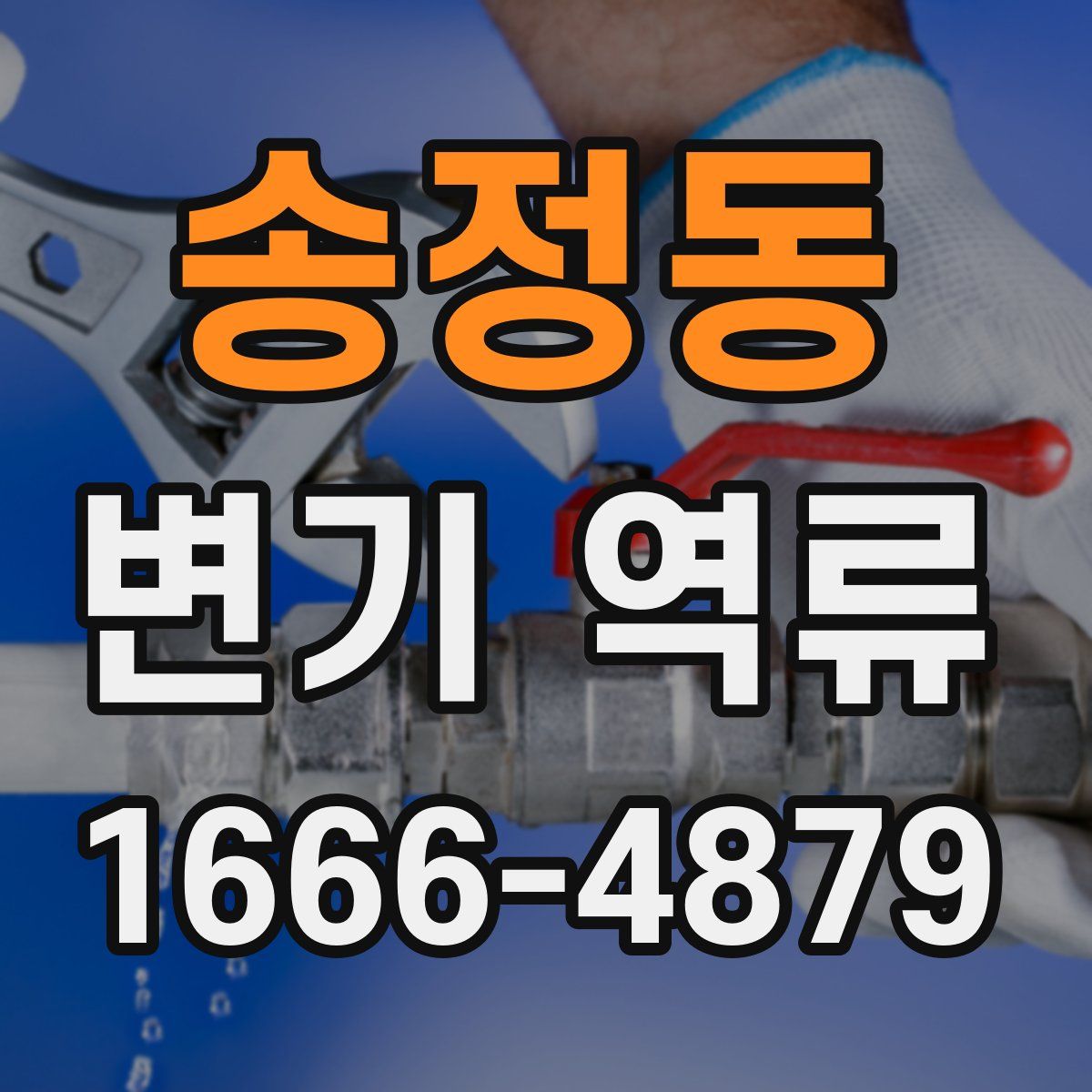 송정동 변기 역류