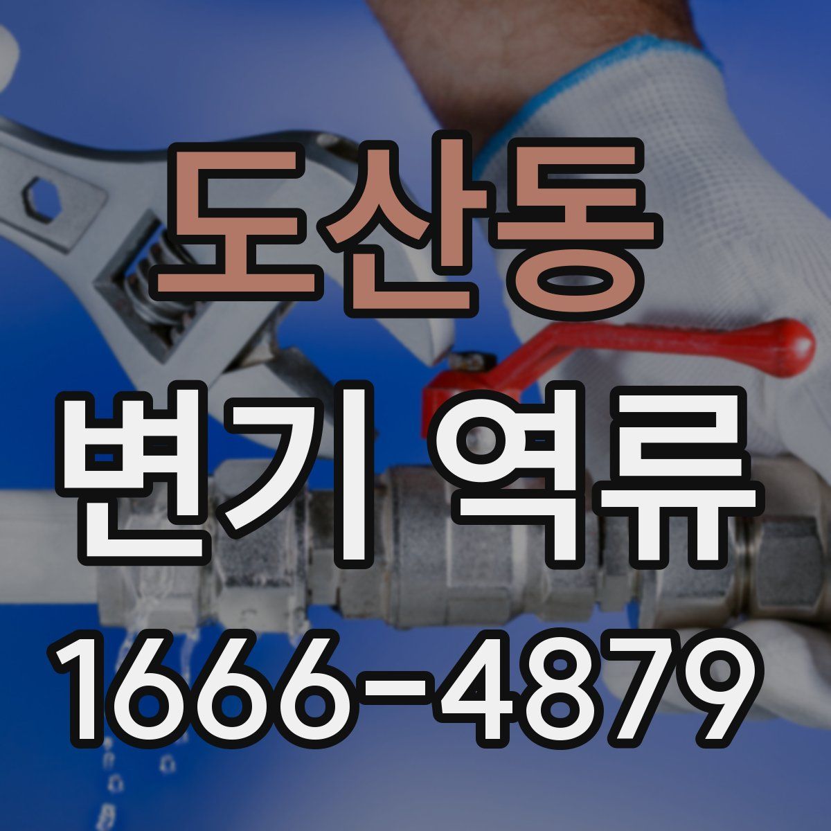 도산동 변기 역류