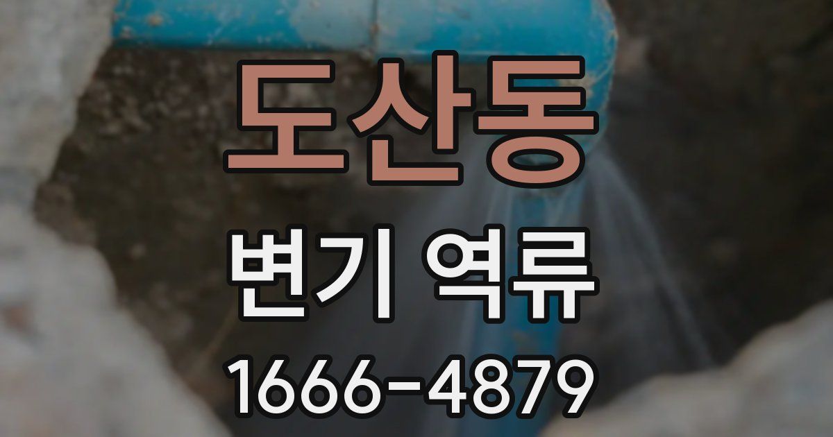 도산동 변기 역류