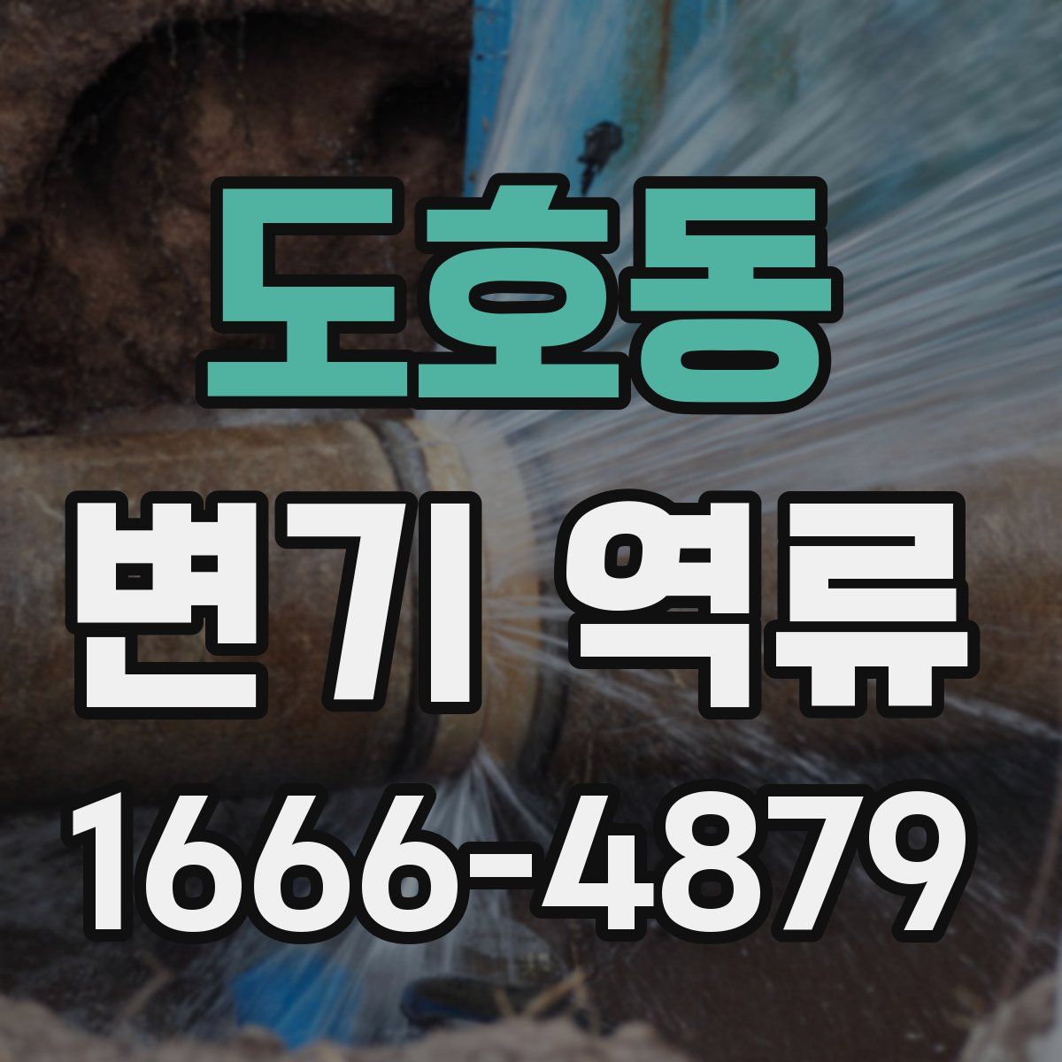 도호동 변기 역류
