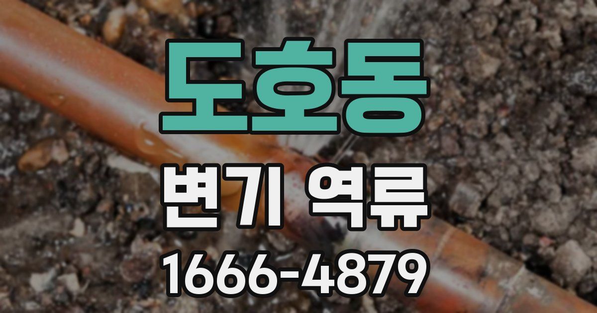 도호동 변기 역류