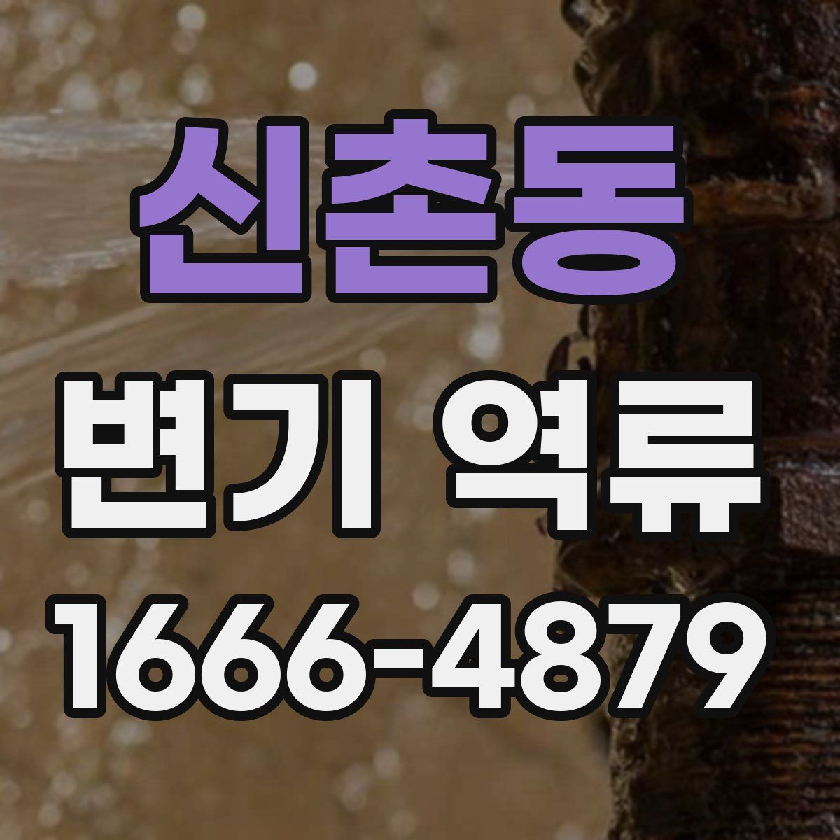신촌동 변기 역류