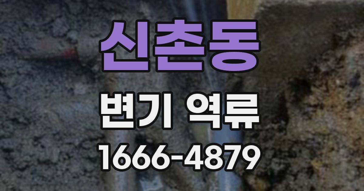 신촌동 변기 역류