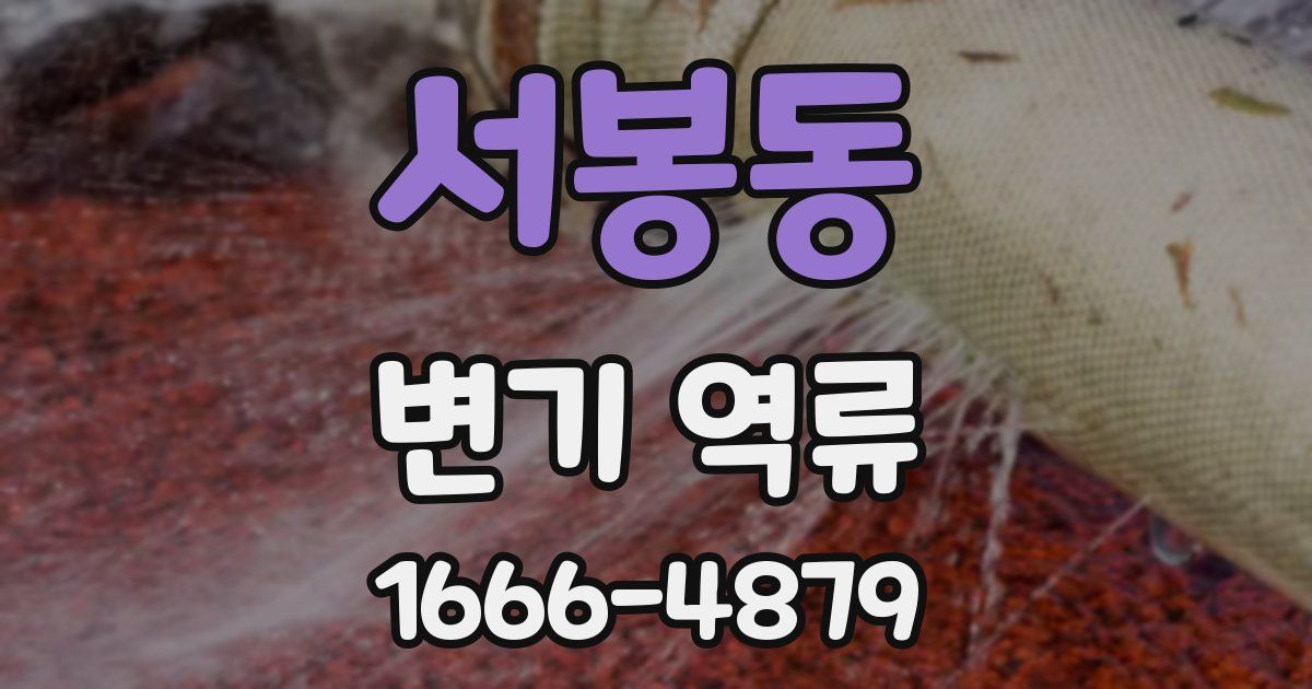 서봉동 변기 역류